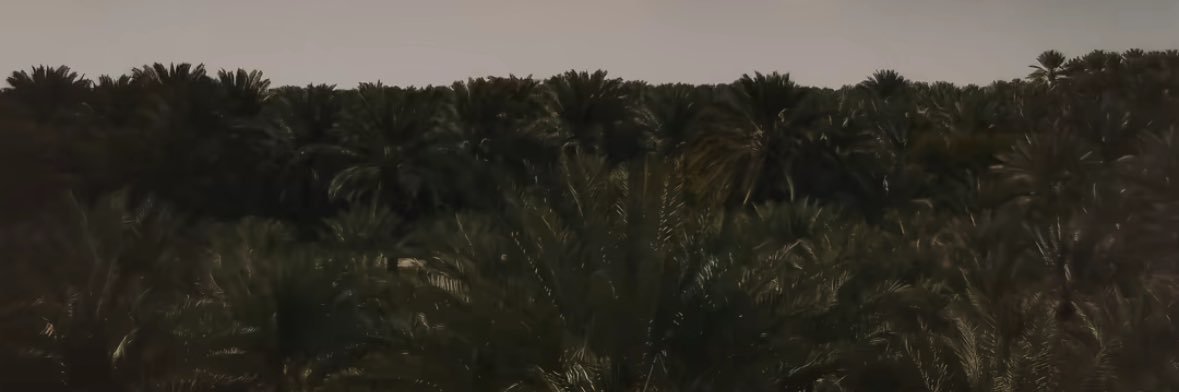 eeeeeraiin's profile banner image