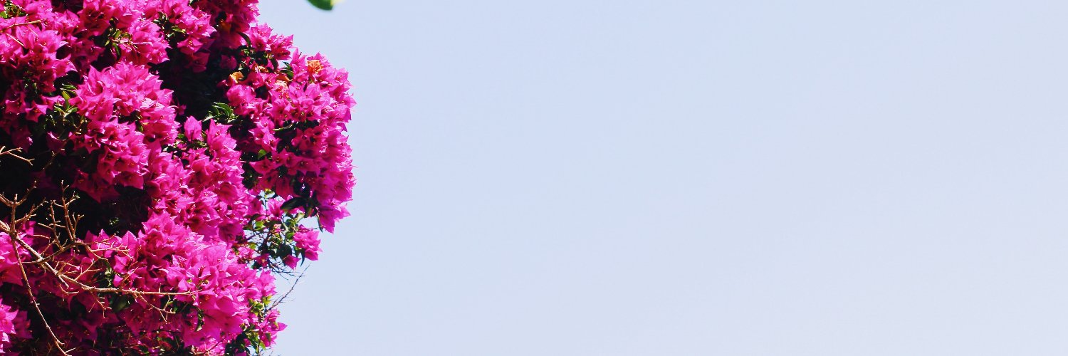 ronifox_'s profile banner image