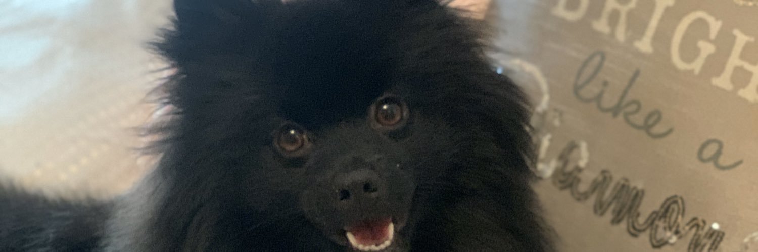 LauraShannonxx's profile banner image