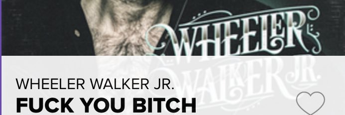 Dayle Forness banner