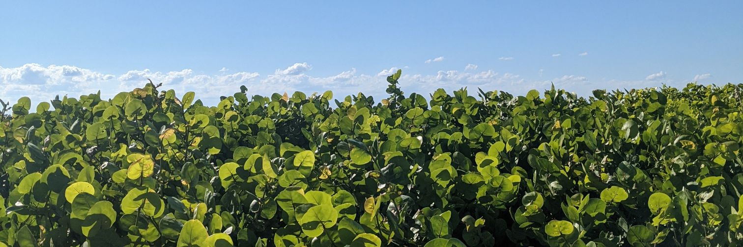 ropotorres's profile banner image