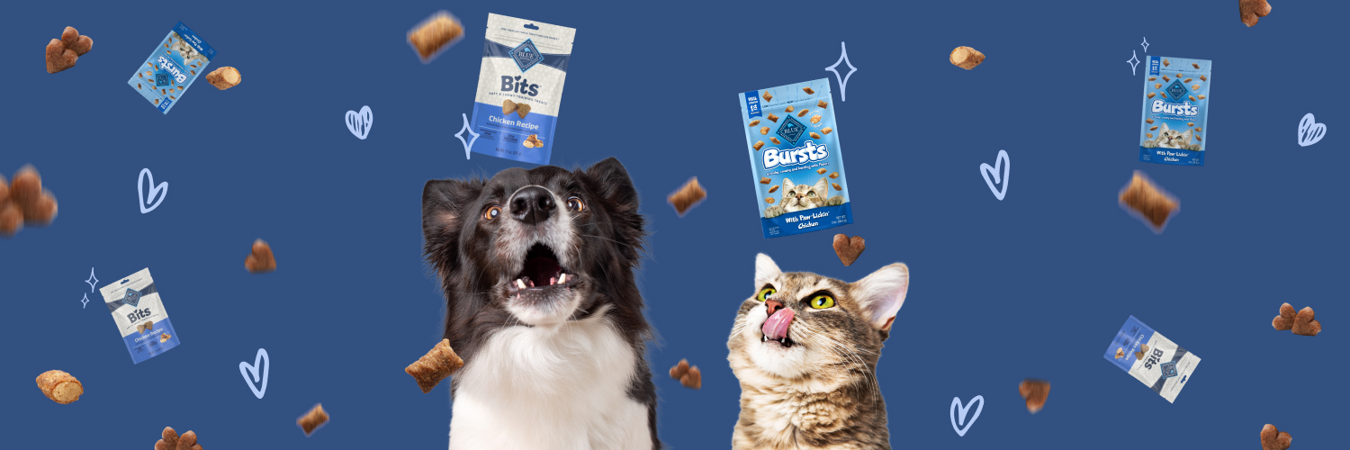 blue buffalo banner