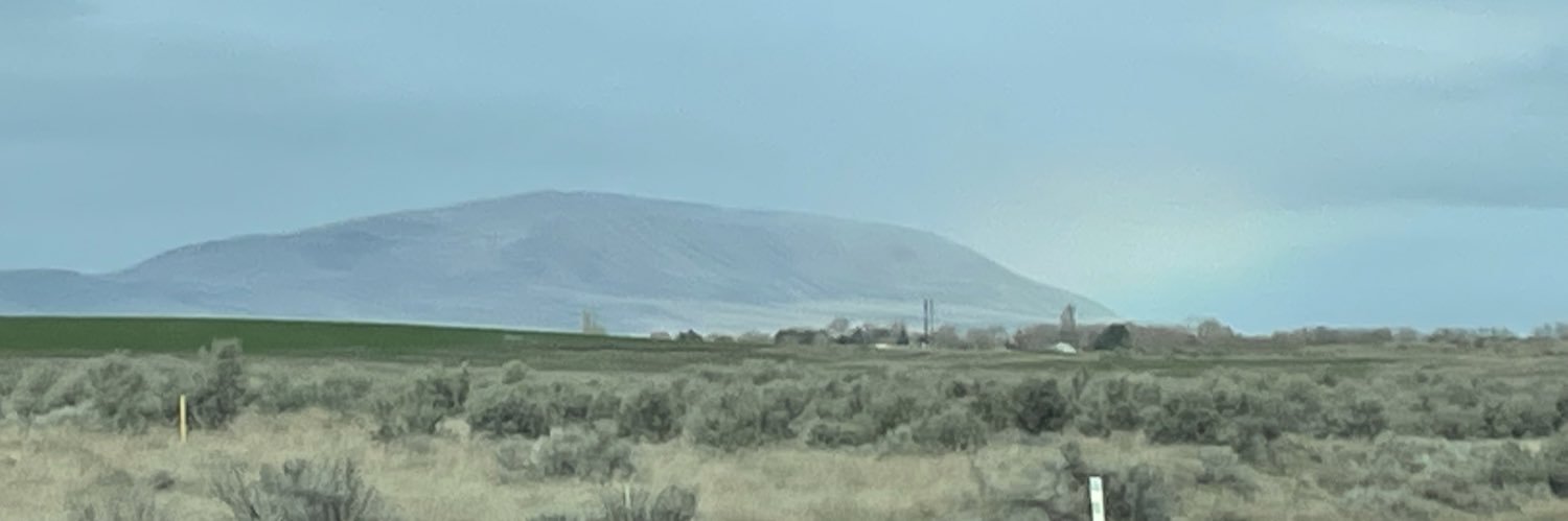 Lindsay Lightner, PhD banner