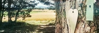 BalungieFarm's profile banner image