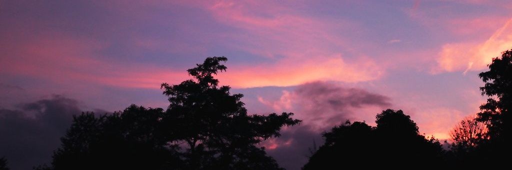 Inesrubio03's profile banner image