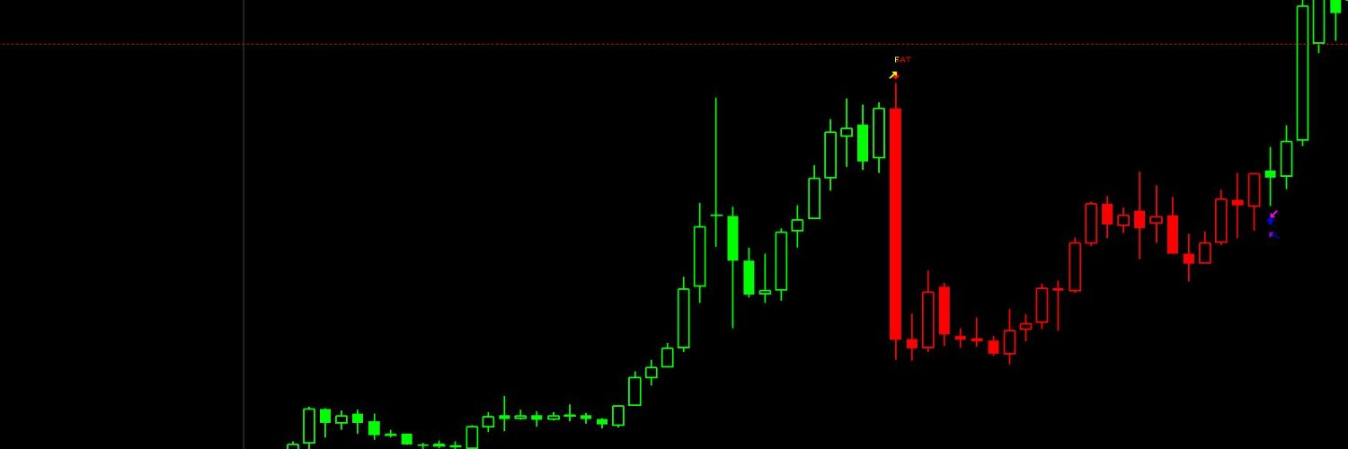 BORSA ve BORSA banner
