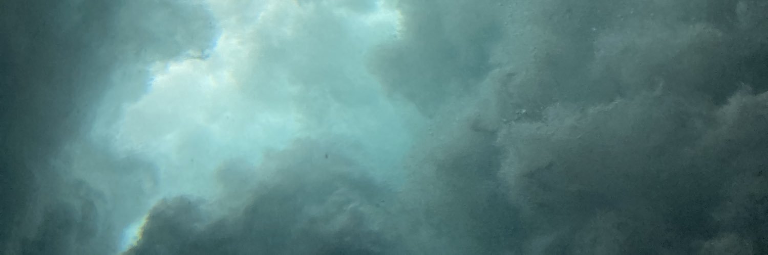 catnight__'s profile banner image