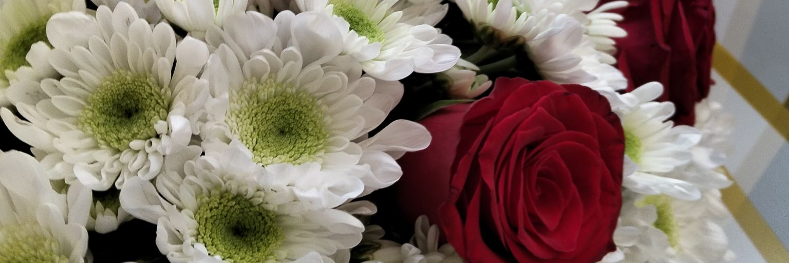 hythyldr's profile banner image