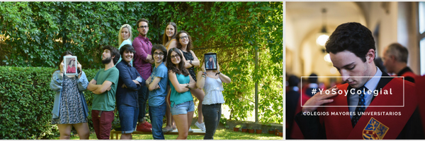 ccmmue Profile Banner