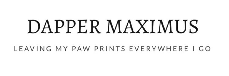 _dappermaximus's profile banner image