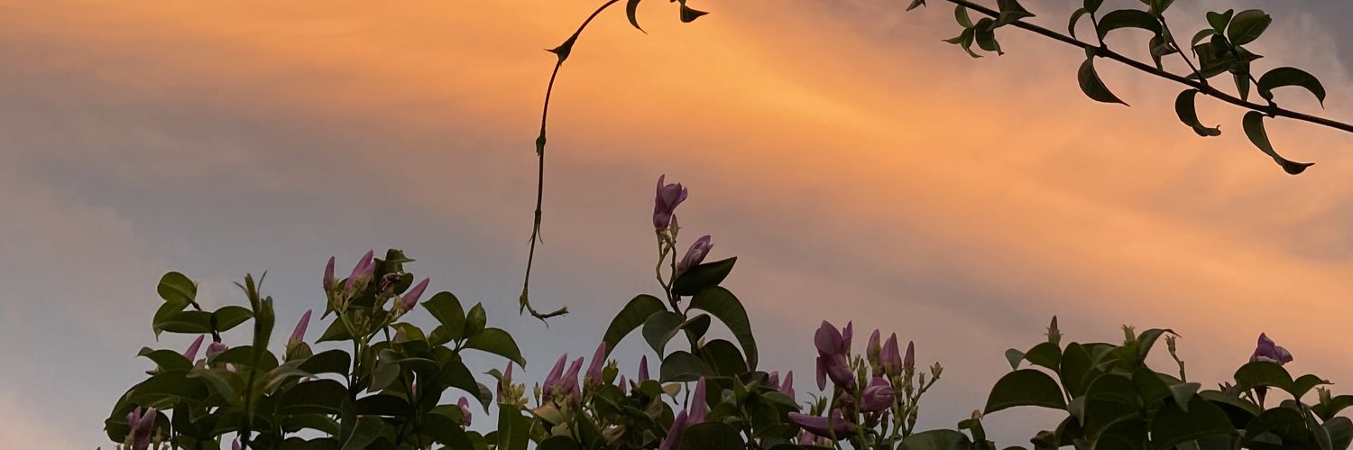 kixsaaa's profile banner image
