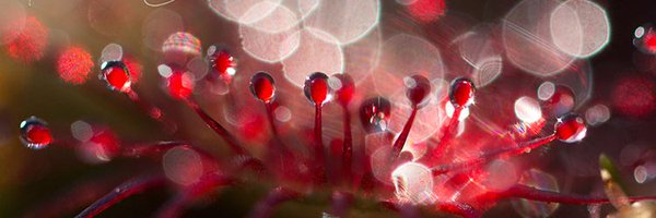 TinaClaffey Profile Banner