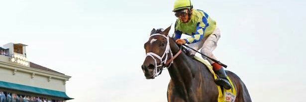 Always Dreaming banner