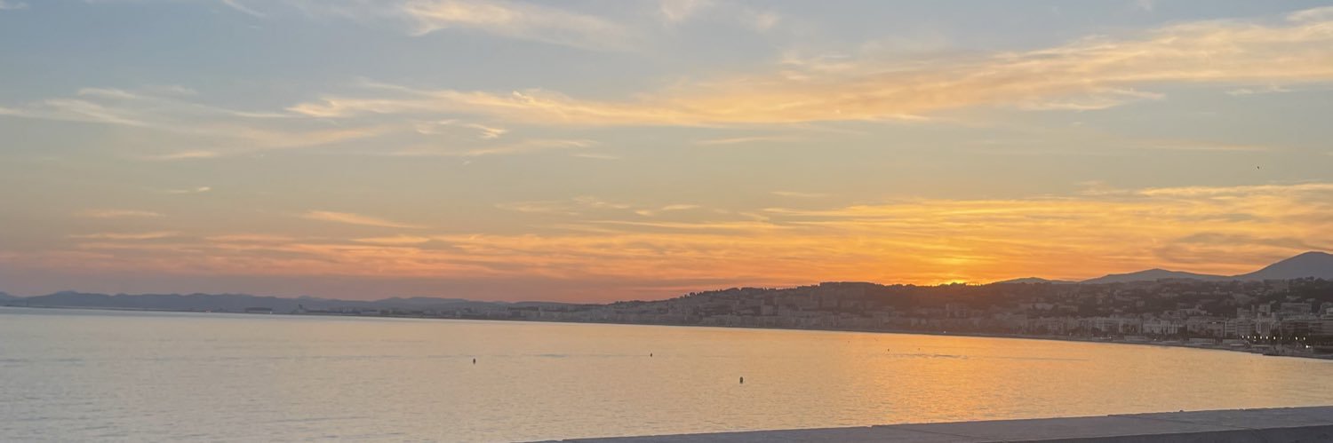 Christine 🦂 banner