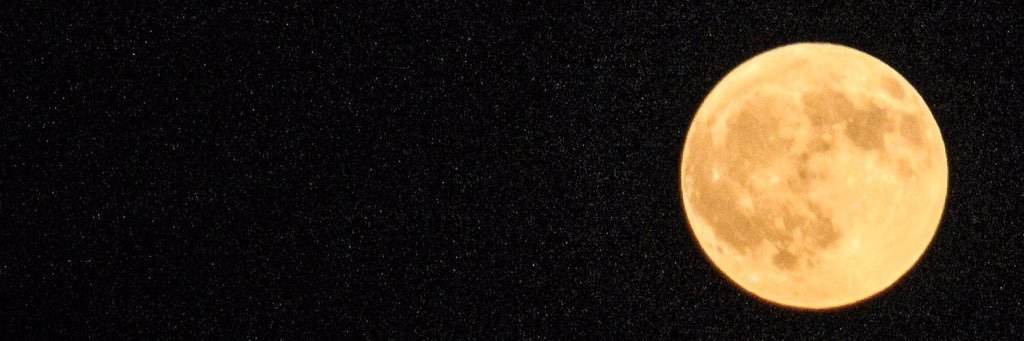 guccitears's profile banner image