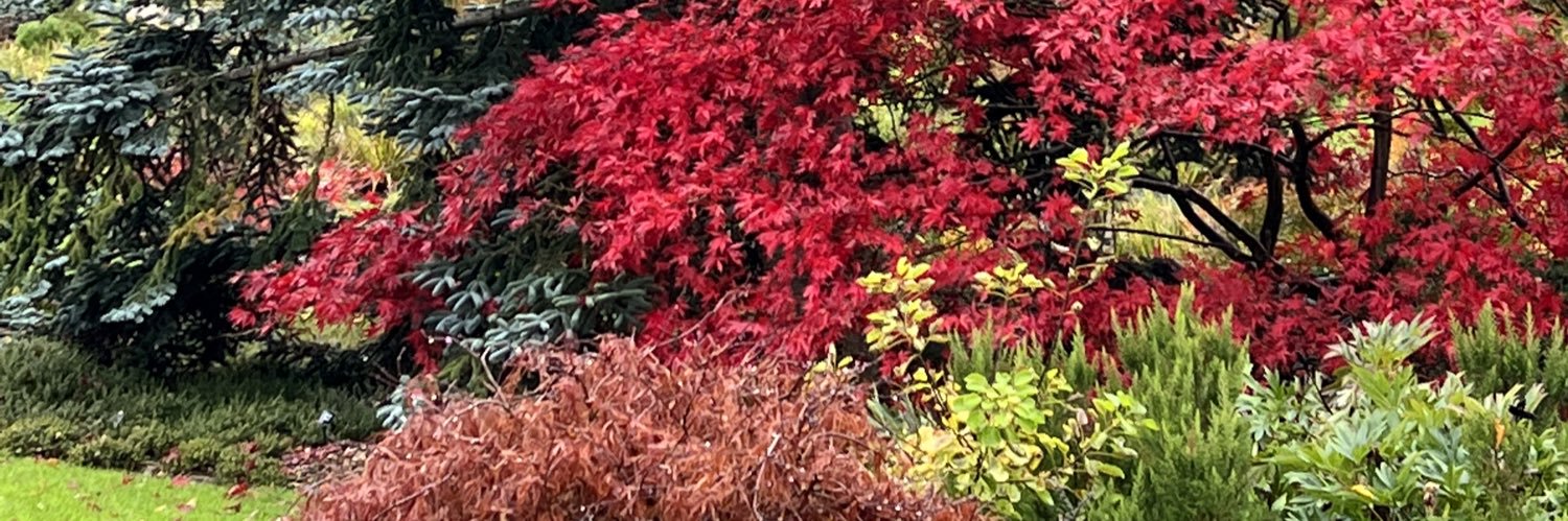 Vicky Davidson Boyd banner