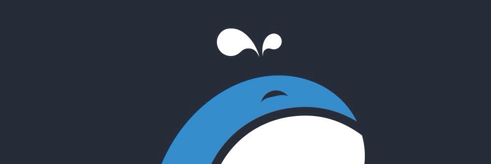 steve lianardo banner