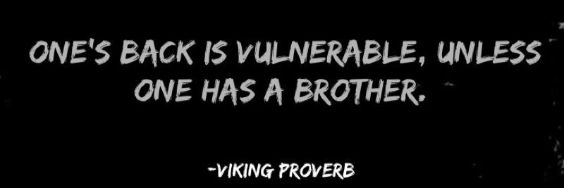 mmsfb_vikings's profile banner image