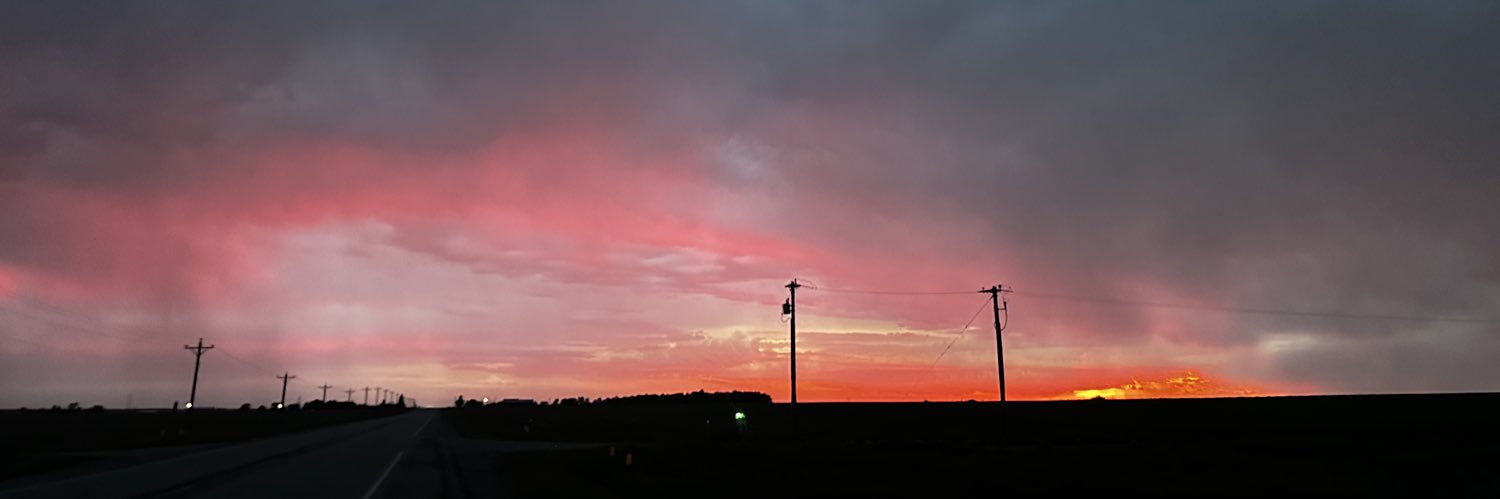 SydneyFreideman's profile banner image