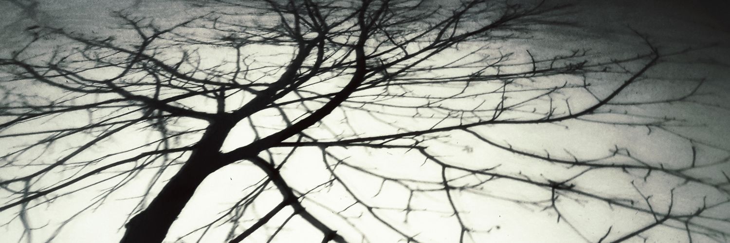 Markus Mandell banner