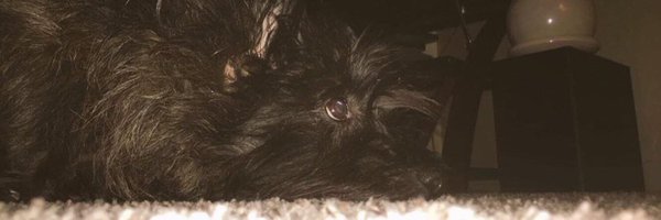 _loremartinez_ Profile Banner