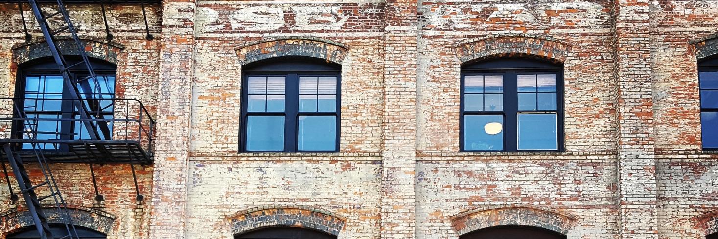 Michelle Boyd banner