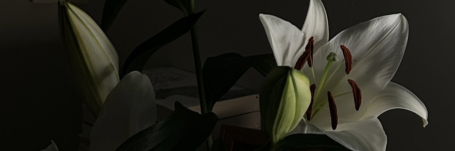 holashatha's profile banner image