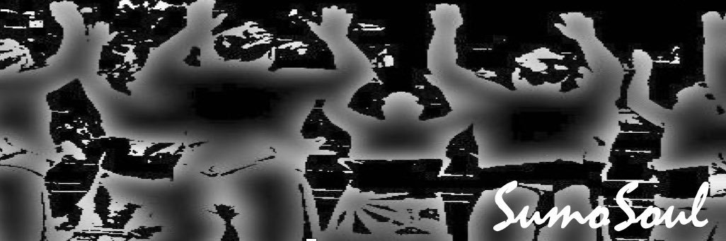Sumo Soul 相撲魂's banner