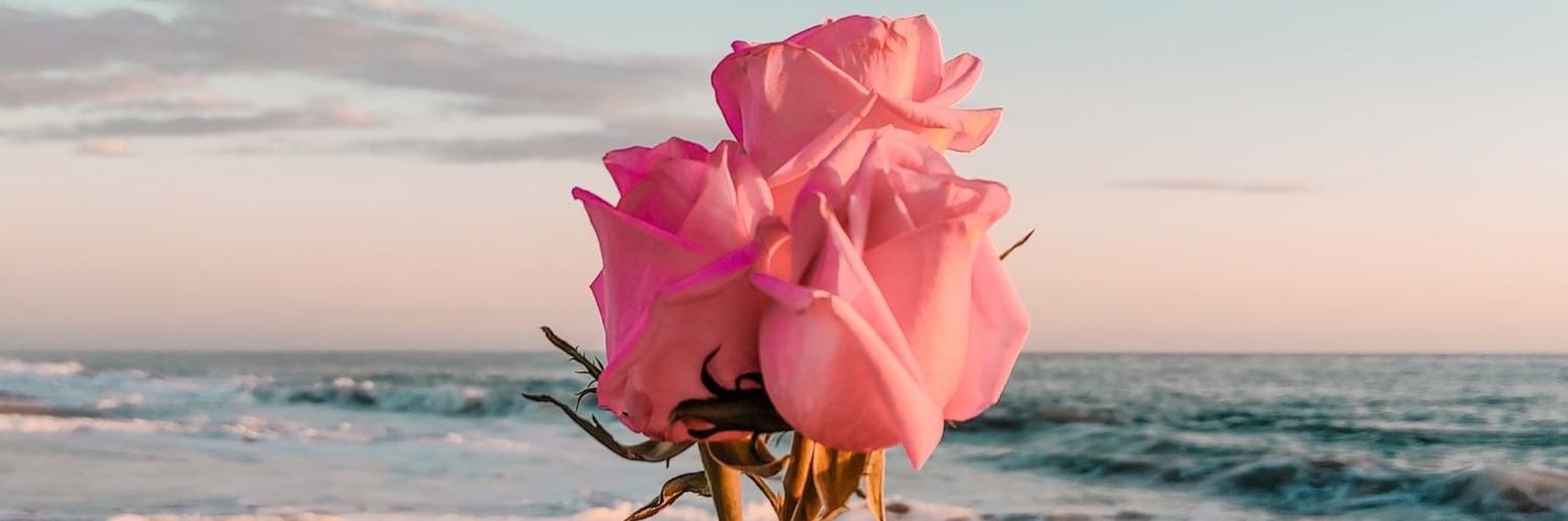 Beverly_Ivette's profile banner image