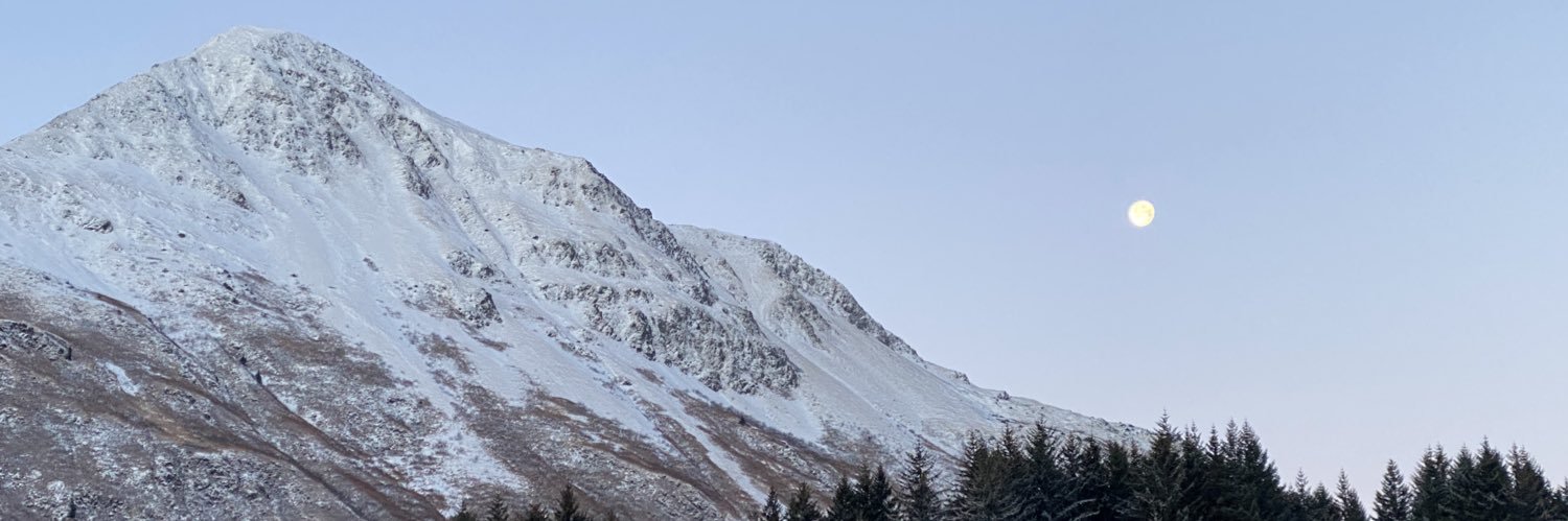 FrozenHairball's profile banner image