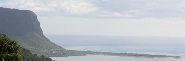 emedec Profile Banner