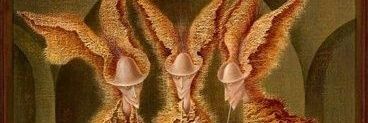 kadeitoh's profile banner image