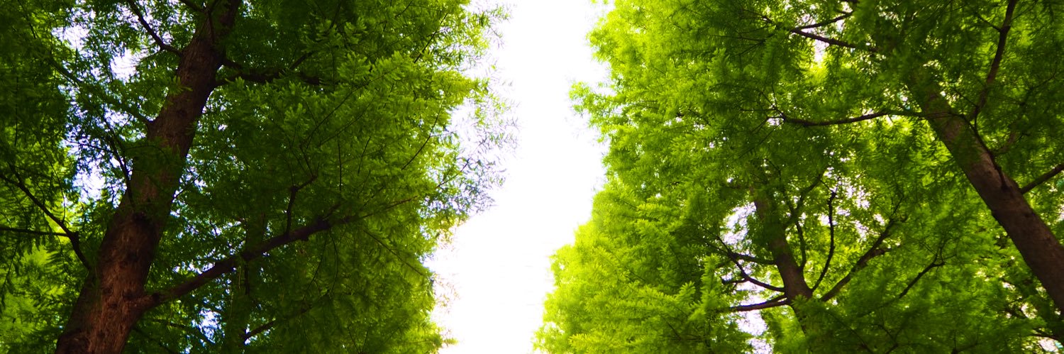 長島 光那's banner