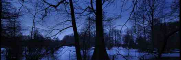 DennisSkinnerMP Profile Banner