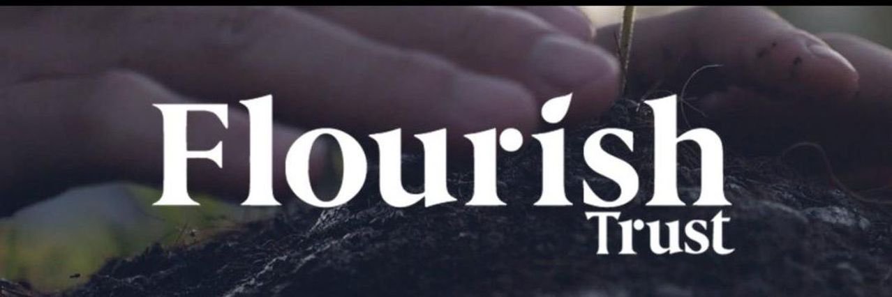 _Mountain_Sea's profile banner image