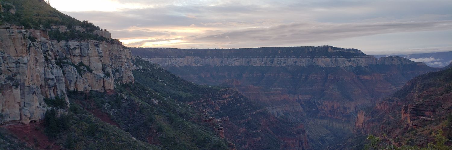 Jennifer Monson banner