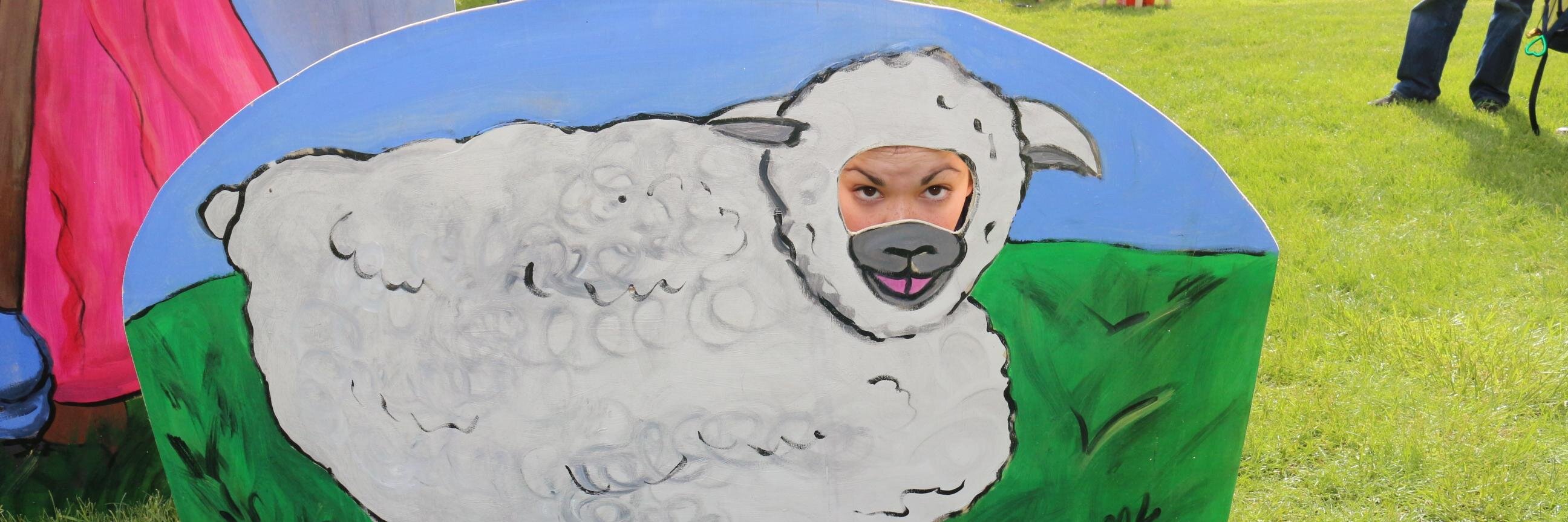 Rachel Oshrin banner