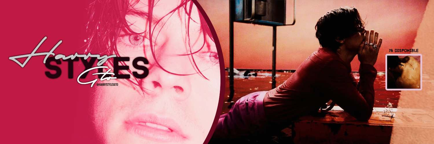 Harry Styles GTO banner