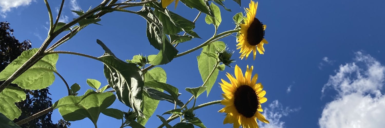 MyAttitudesRude's profile banner image