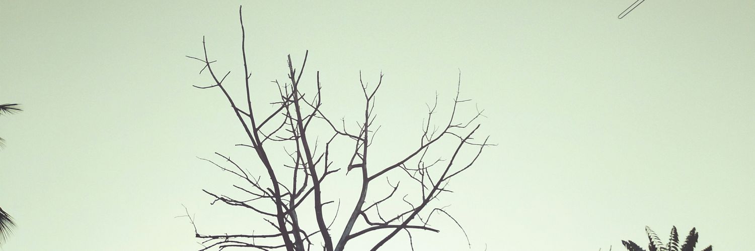 Fern0805's profile banner image