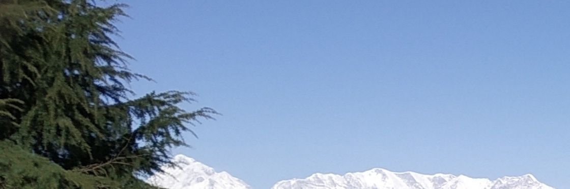 पंडित स्वामी banner