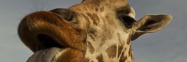 684melissa's profile banner image