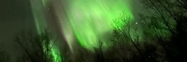 RobertaRab Profile Banner