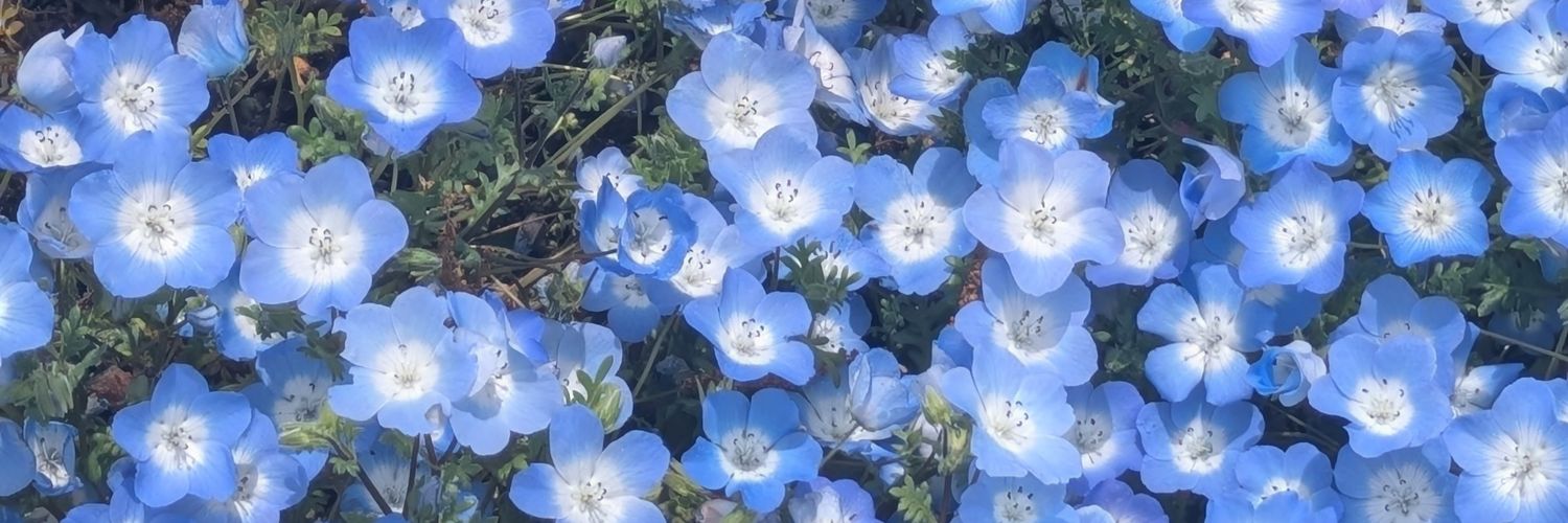 zsteaot's profile banner image
