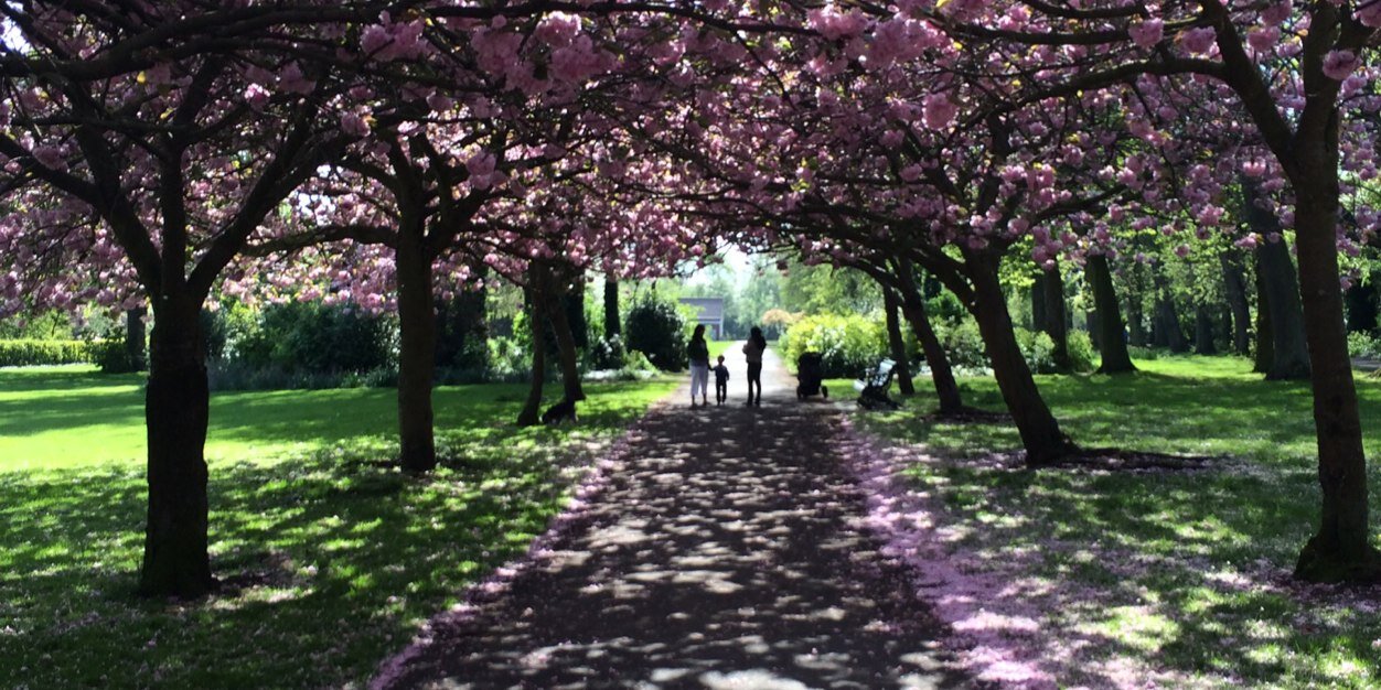 Caroline Kennedy banner