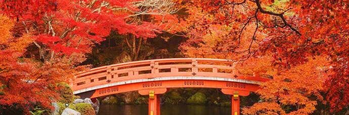 Đào Xuân Hiền banner