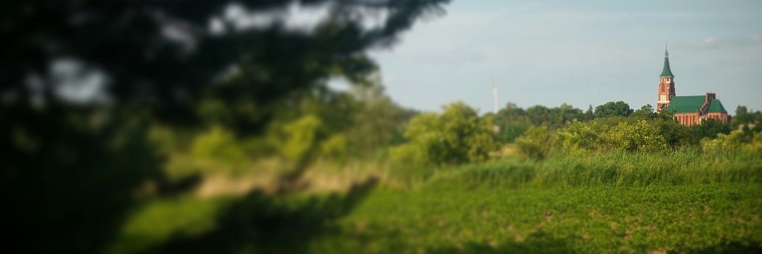 Gozdalek's profile banner image