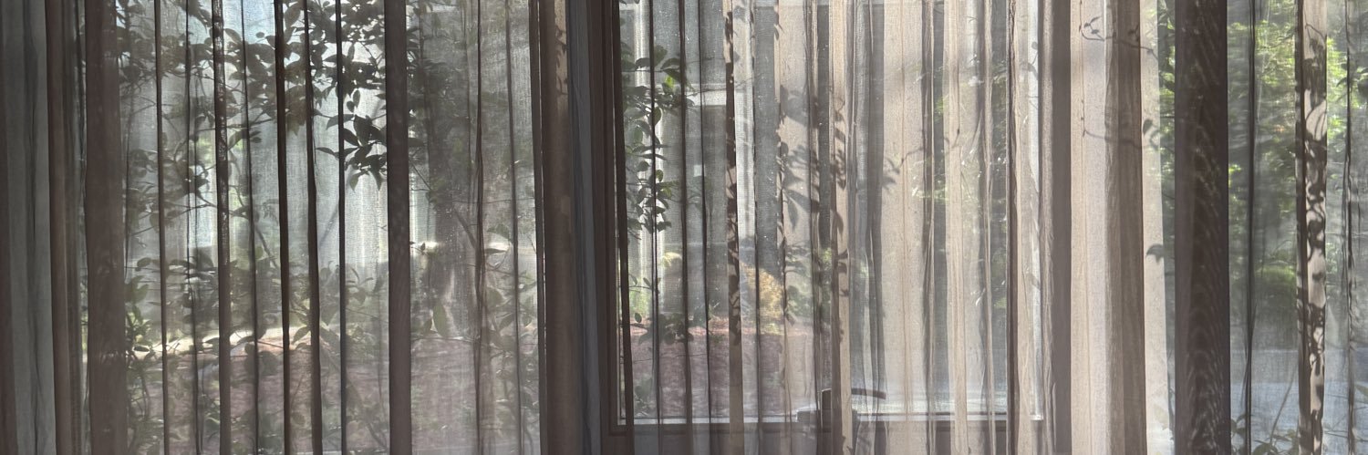 alinE. | sells bagcharm & lasagna 𓍯ོ banner