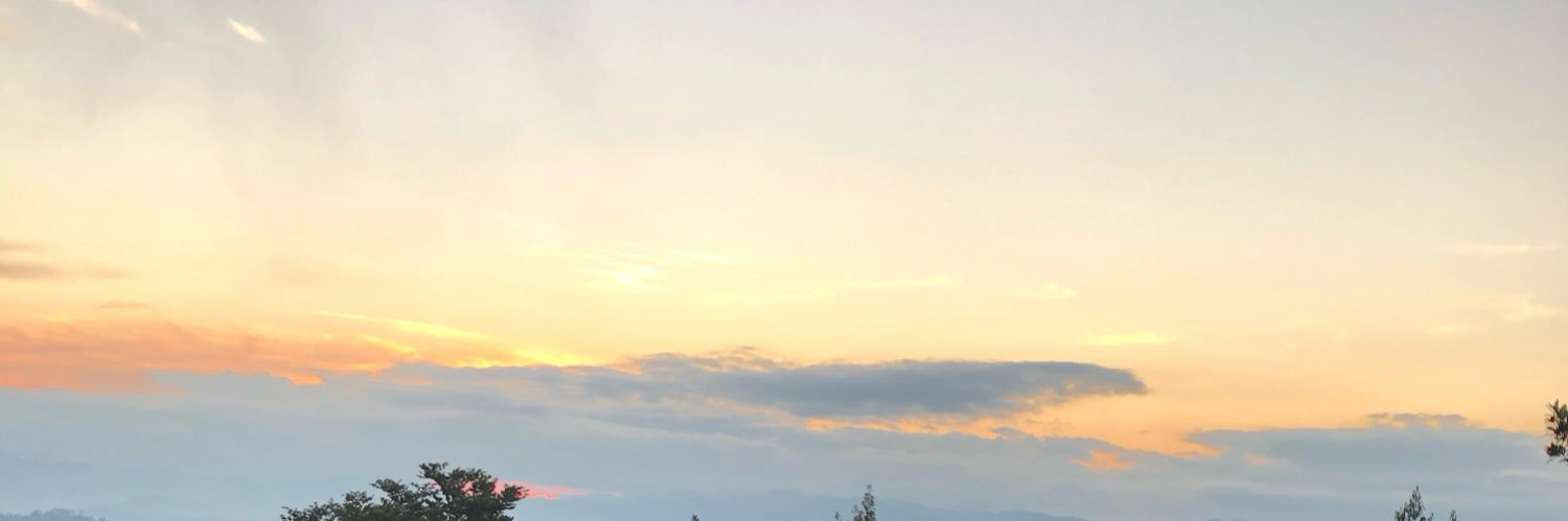 Vanessa Castillo banner