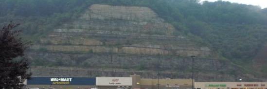 Eugene 🇵🇸 banner